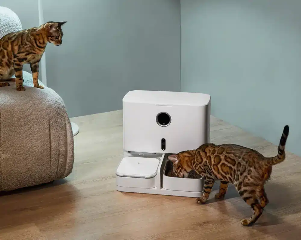 automatic pet feeder for two cats