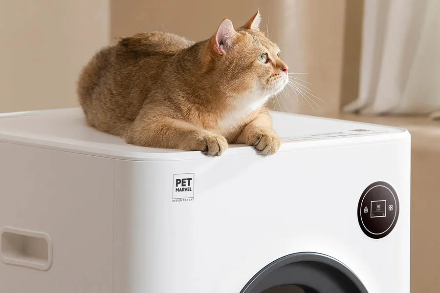 auto kitty litter box